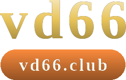 vd66 logo